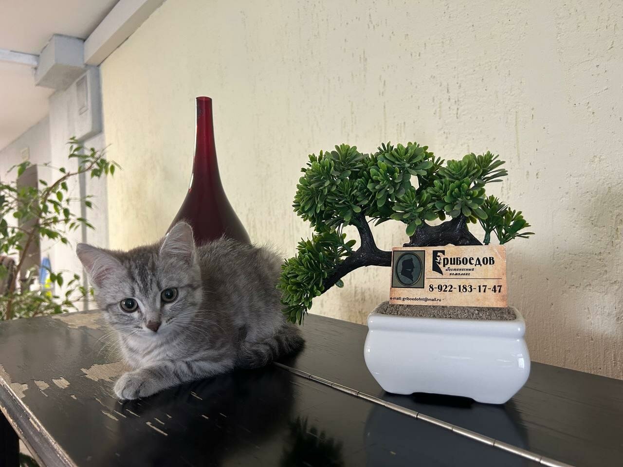 Гостевой дом Грибоедов Нижний Тагил-53