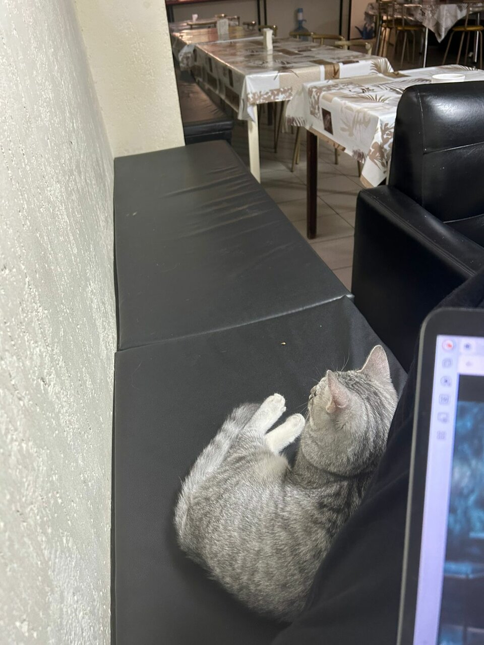 Гостевой дом Грибоедов Нижний Тагил-72